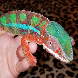 Meet your Posher, Barbara